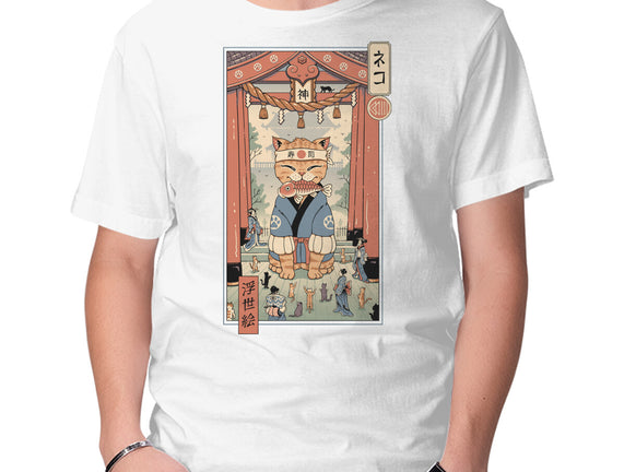 Kami Meowster