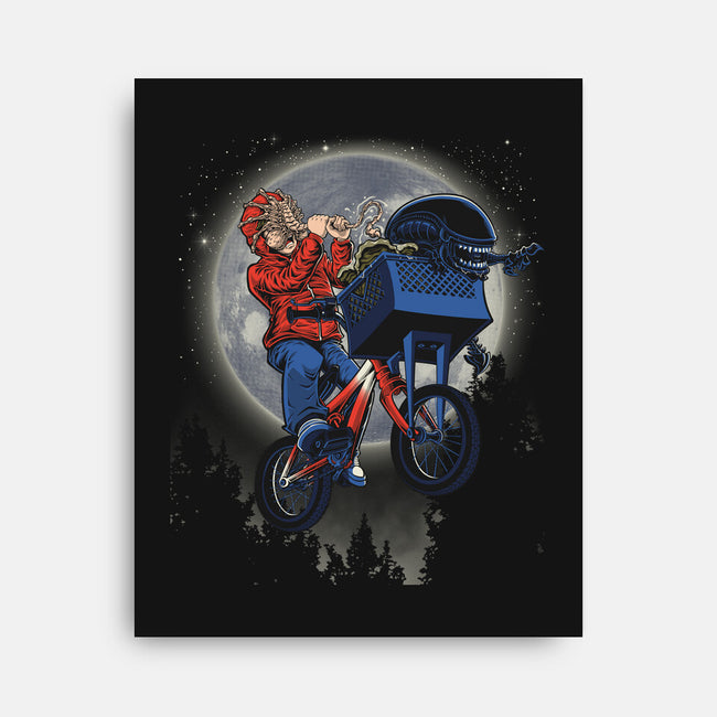 Non Terrestrial-None-Stretched-Canvas-Betmac