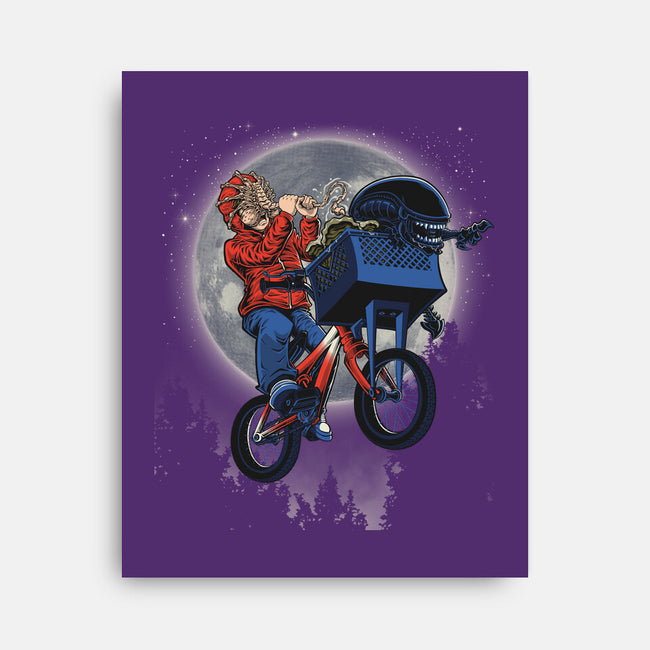 Non Terrestrial-None-Stretched-Canvas-Betmac