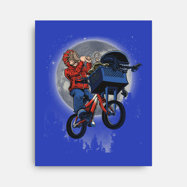 Non Terrestrial-None-Stretched-Canvas-Betmac