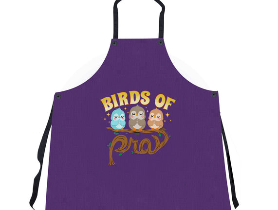 Birds Of Pray
