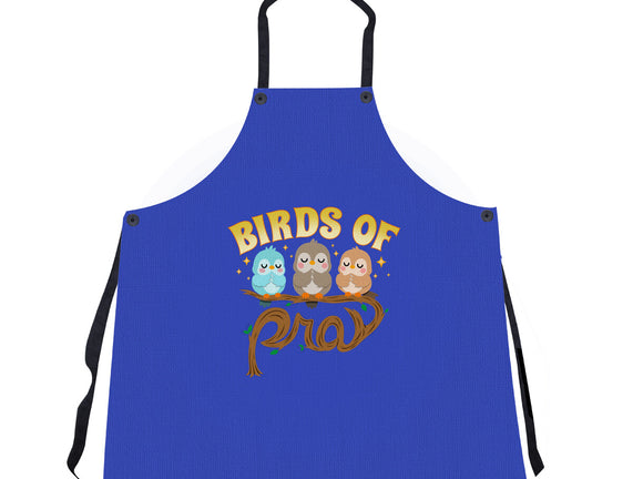 Birds Of Pray