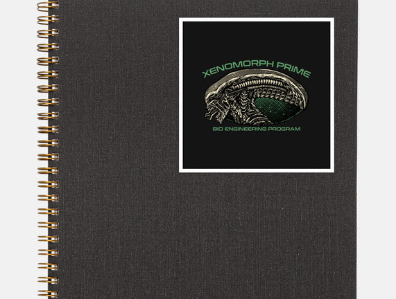 Bio Engineering Program