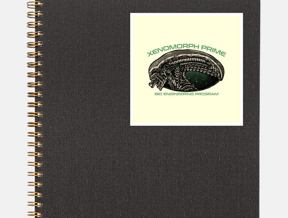 Bio Engineering Program