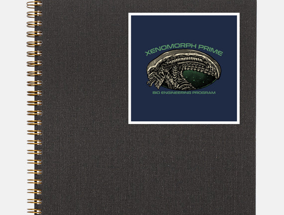 Bio Engineering Program