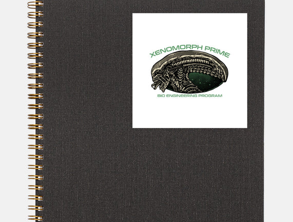 Bio Engineering Program