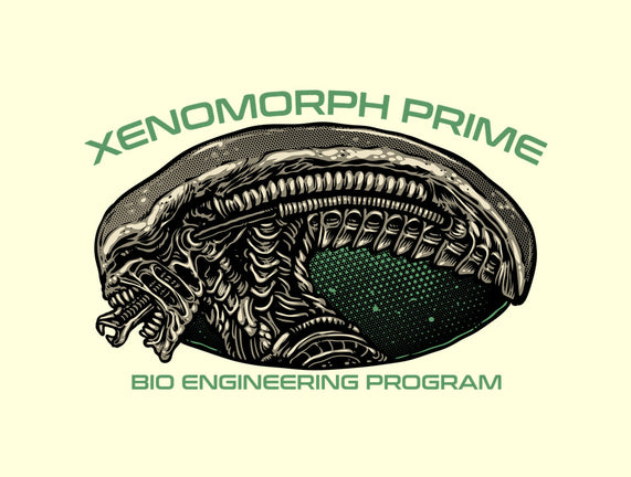 Bio Engineering Program