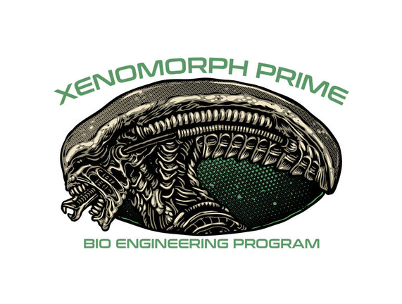 Bio Engineering Program