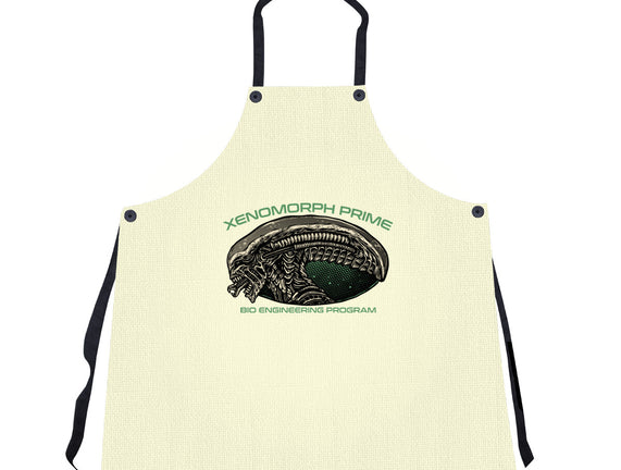 Bio Engineering Program