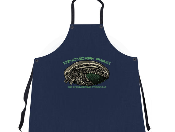 Bio Engineering Program