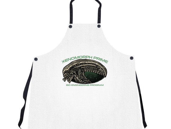 Bio Engineering Program
