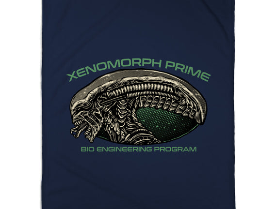 Bio Engineering Program
