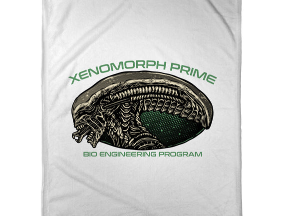 Bio Engineering Program