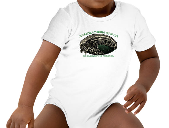 Bio Engineering Program