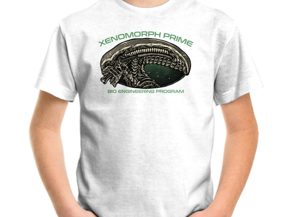 Bio Engineering Program