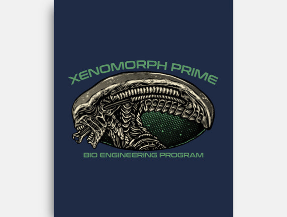Bio Engineering Program