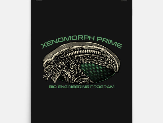 Bio Engineering Program