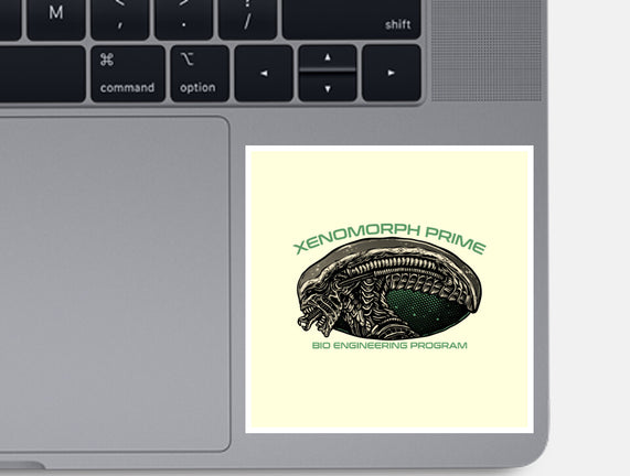 Bio Engineering Program