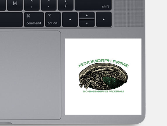 Bio Engineering Program