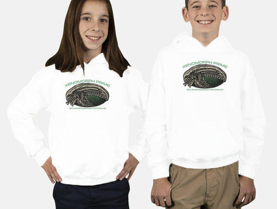 Bio Engineering Program