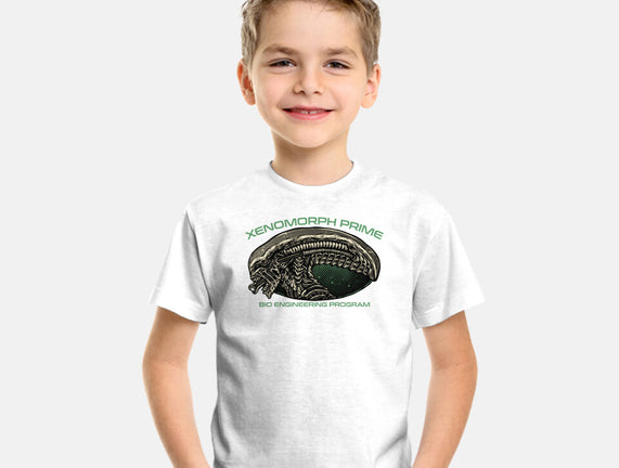 Bio Engineering Program