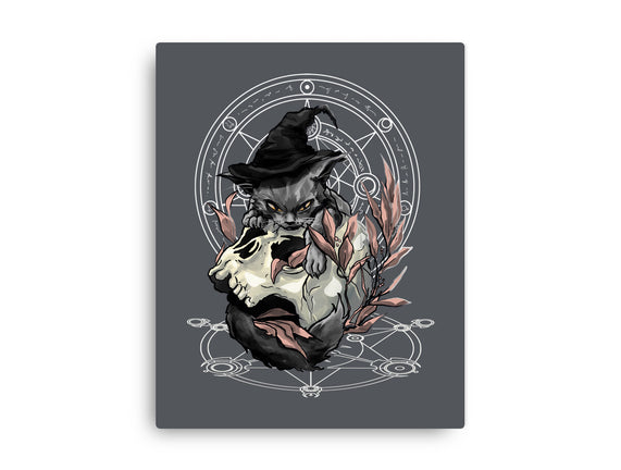 Black Witch Cat