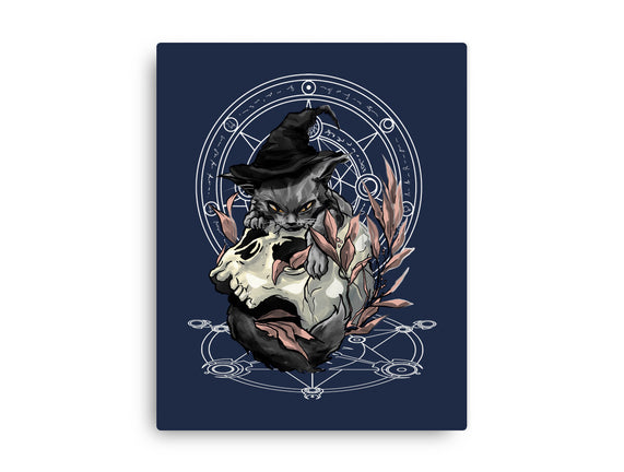 Black Witch Cat
