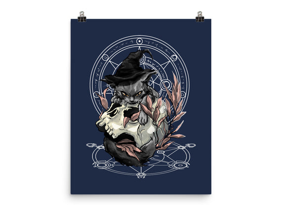 Black Witch Cat