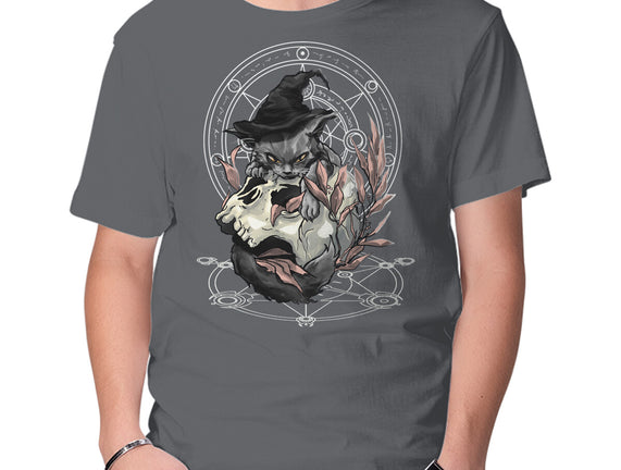 Black Witch Cat