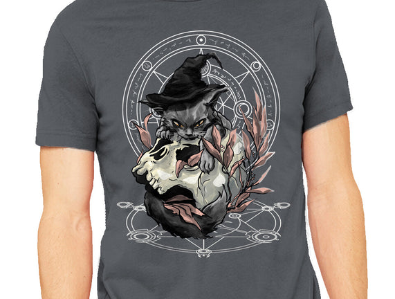 Black Witch Cat