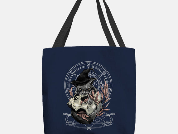 Black Witch Cat