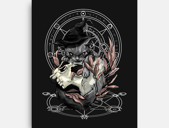 Black Witch Cat