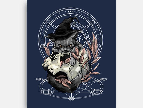 Black Witch Cat