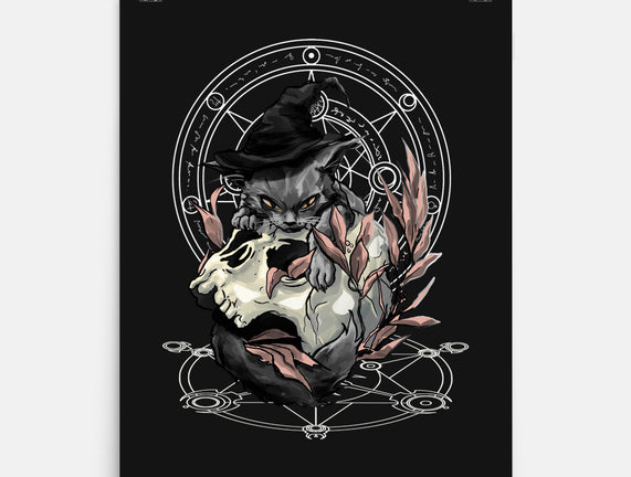 Black Witch Cat