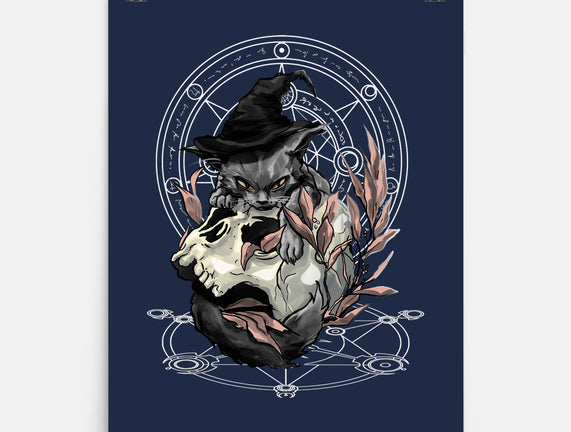 Black Witch Cat