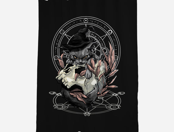 Black Witch Cat