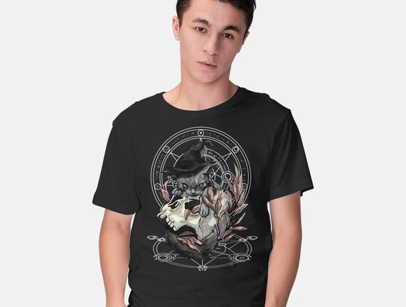 Black Witch Cat