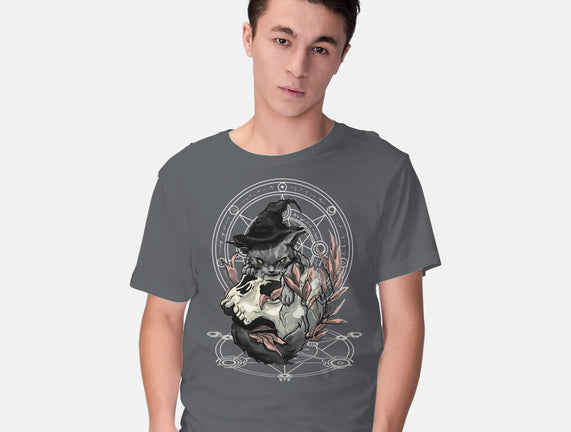 Black Witch Cat