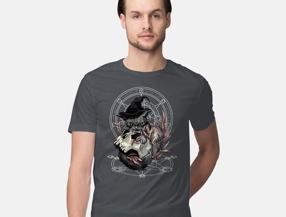 Black Witch Cat