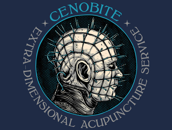 Extra Dimensional Acupuncture
