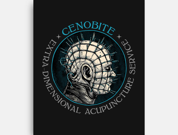 Extra Dimensional Acupuncture