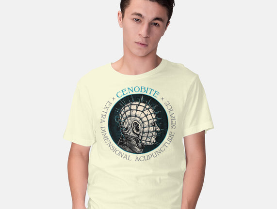 Extra Dimensional Acupuncture