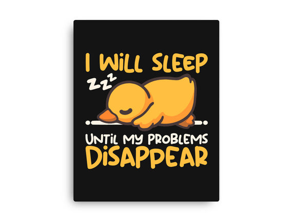 Sleeping Duck With Problems
