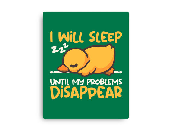 Sleeping Duck With Problems