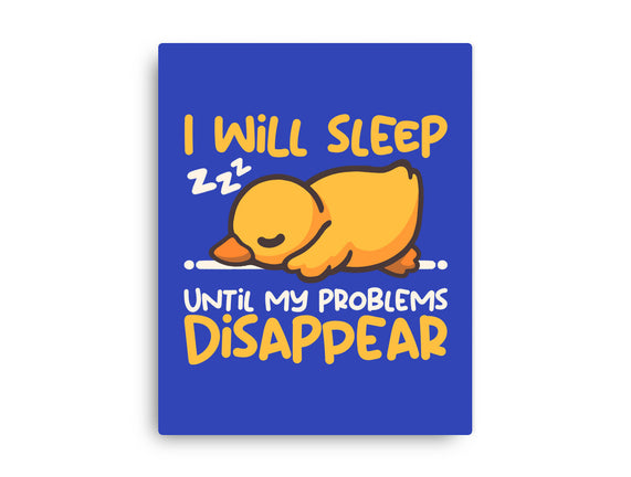 Sleeping Duck With Problems