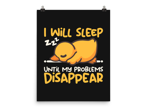 Sleeping Duck With Problems