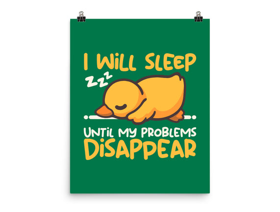 Sleeping Duck With Problems
