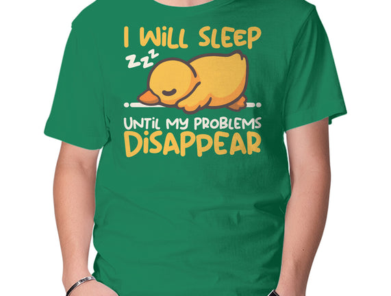 Sleeping Duck With Problems