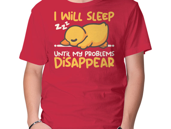 Sleeping Duck With Problems