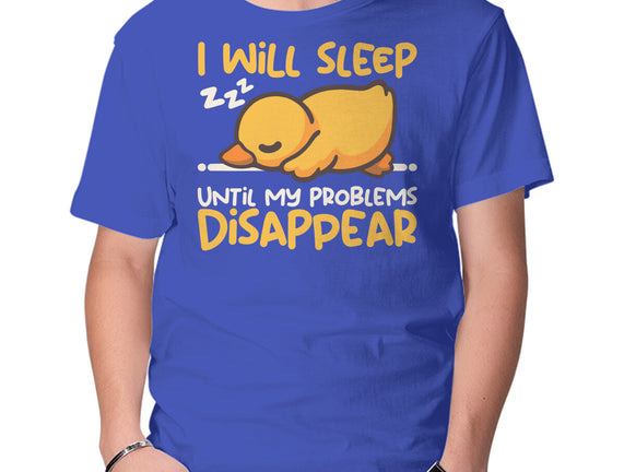 Sleeping Duck With Problems